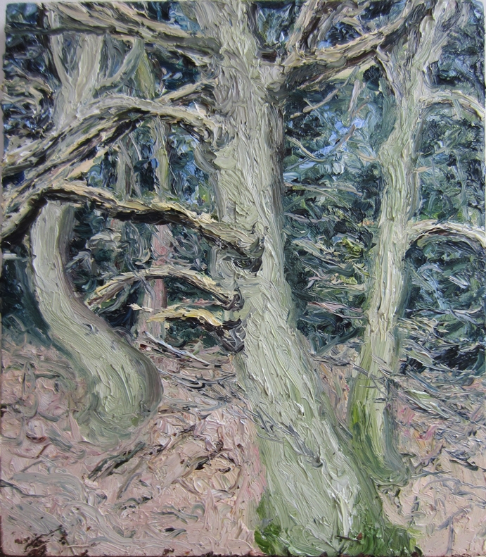Eik aan de bosrand Olieverf op doek 40 x 35 cm